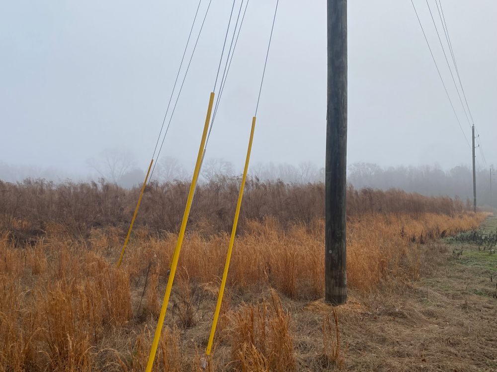 All Photos for T&S Land Management Services in Effingham County, GA