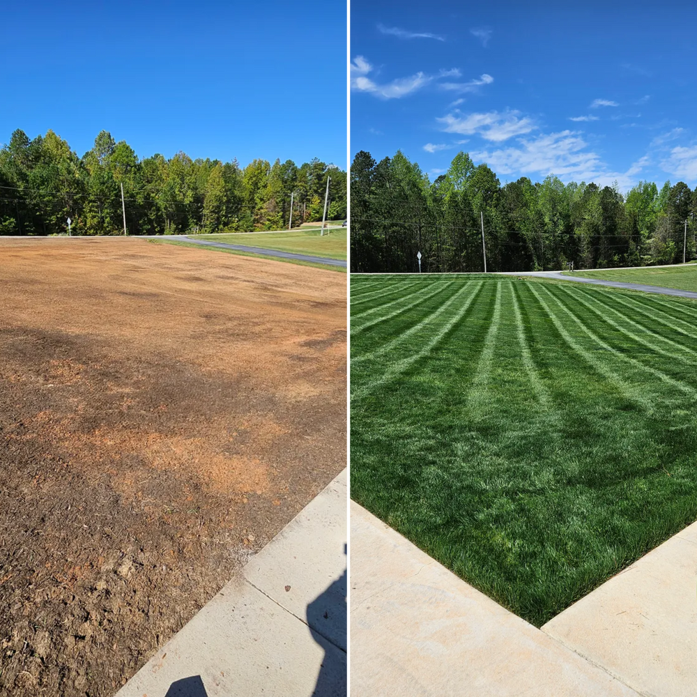 Transform your outdoor space with our expert Landscaping & Lawn Renovations service, offering customized solutions to enhance beauty and curb appeal, ensuring a lush, vibrant lawn tailored to your landscape dreams. for Gallimore’s Lawn Care in Thomasville, NC