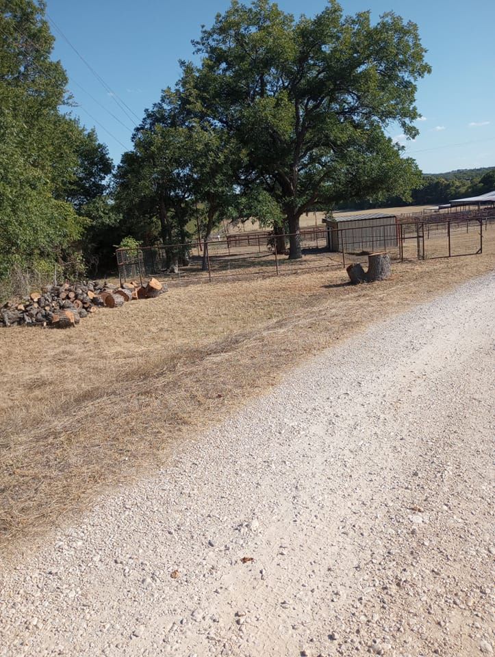 Tree Removal for Marks Tree Service in Fort Worth, TX