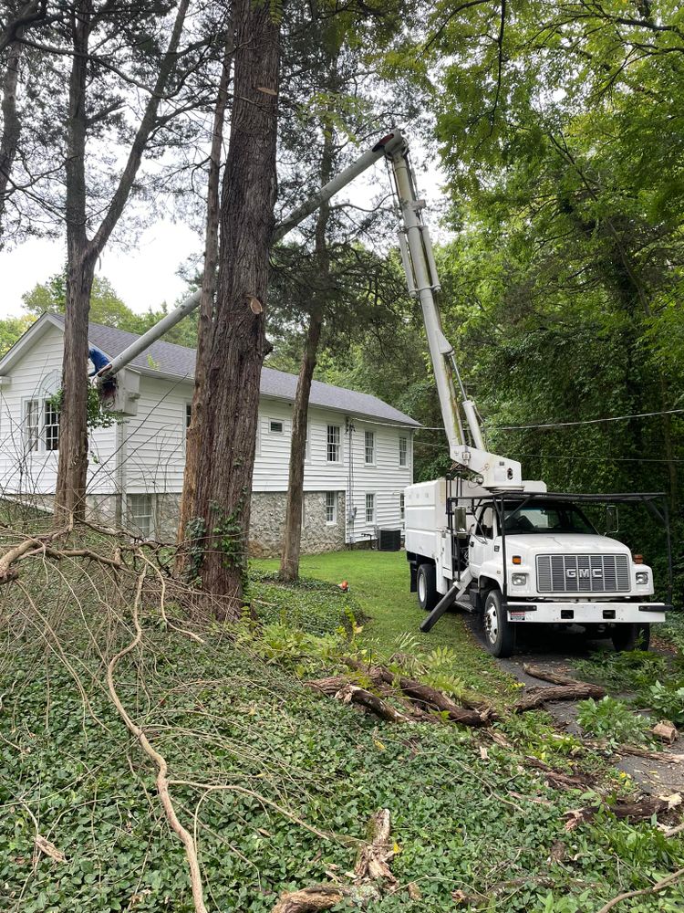 Tree Services for Transforming Landscaping & Tree Service in Bowling Green, KY