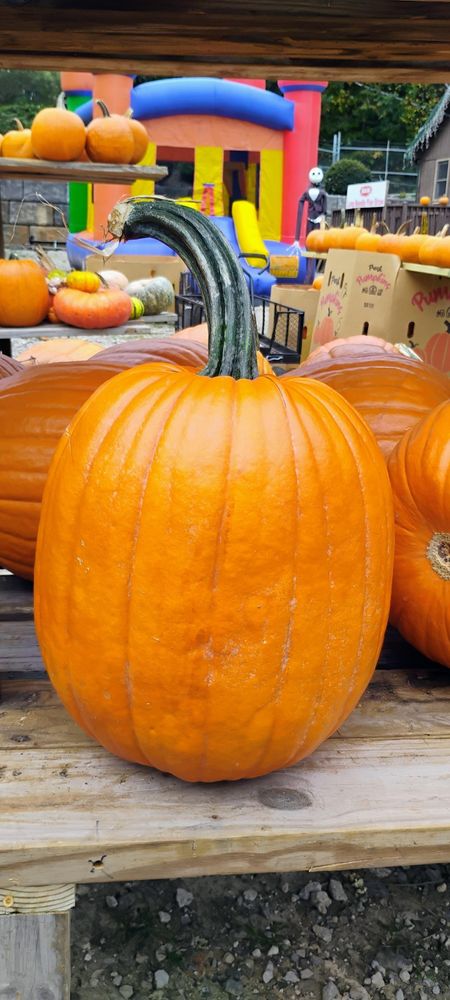 All Photos for Rutledge Contracting LLC in Hazel Green, AL