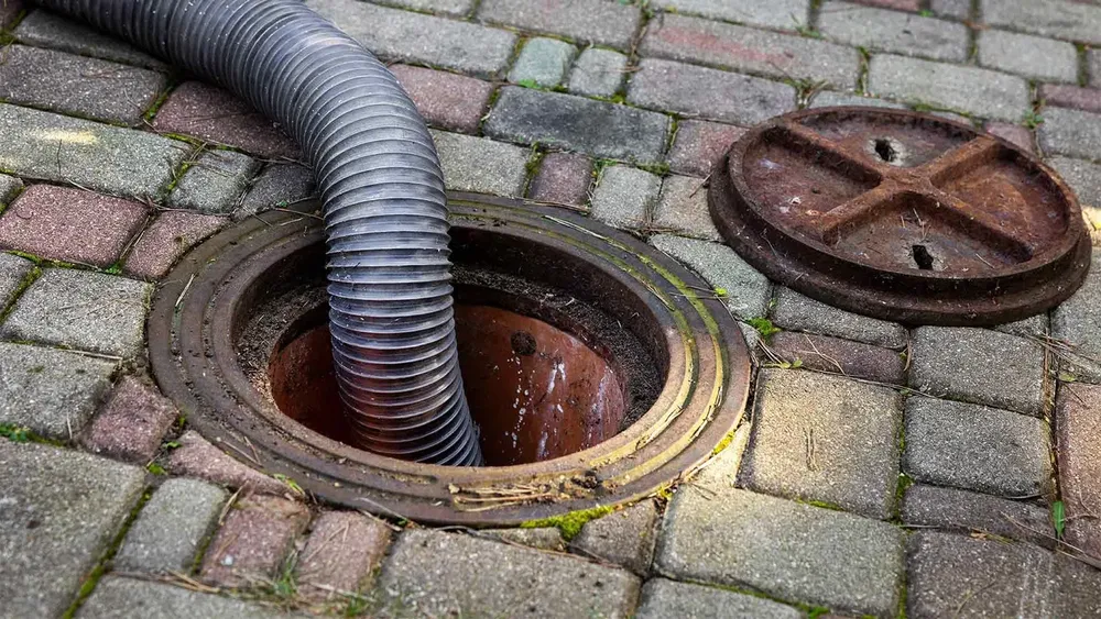 All Photos for Washington Boyz Septic in Nanjemoy, MD