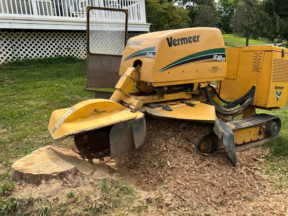 All Photos for Total Tree Service in Washington, NJ
