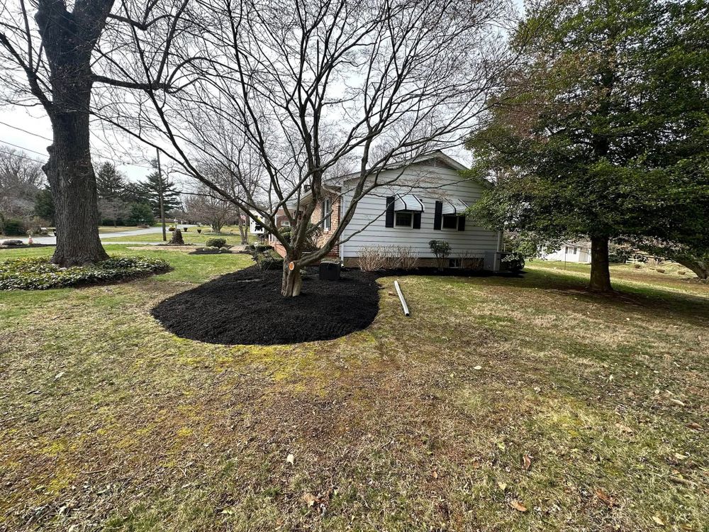 All Photos for A Better Lawn Service LLC in Bel Air, MD