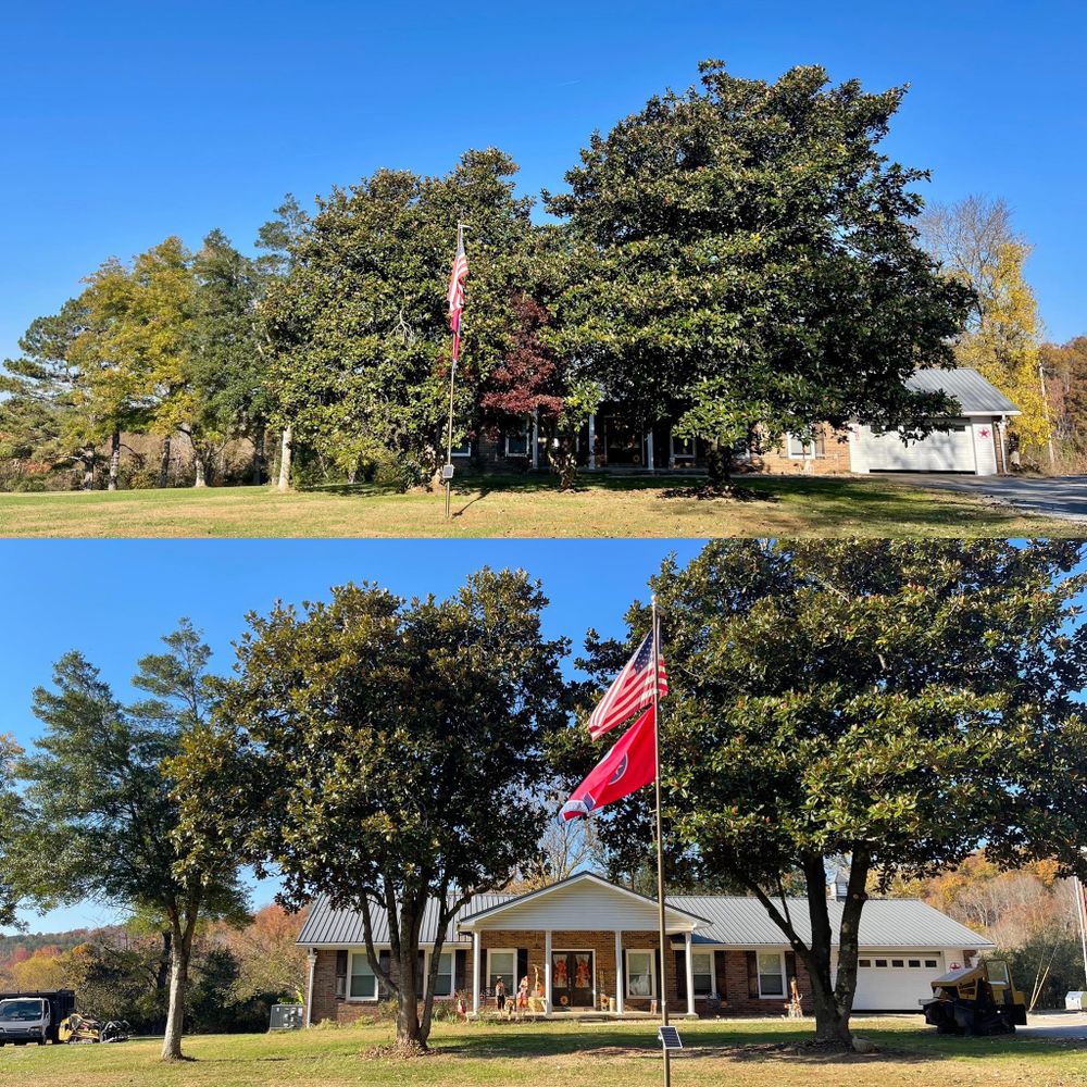 All Photos for Ross Family Tree Service LLC  in Hohenwald, TN