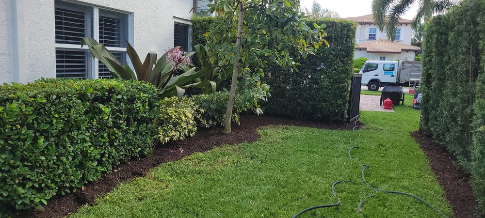 All Photos for L & J Palm Tree & Lawn Care Services in Jupiter, FL