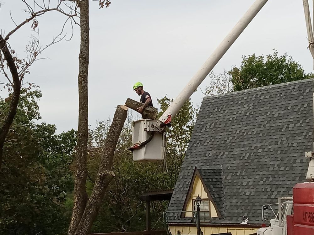 All Photos for H n H Tree Service in Taneyville, MO