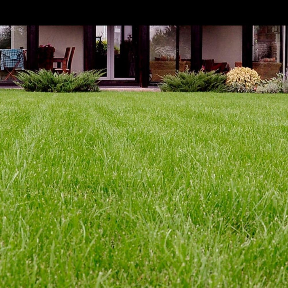 All Photos for Holloway Yard Company in Greensboro, NC