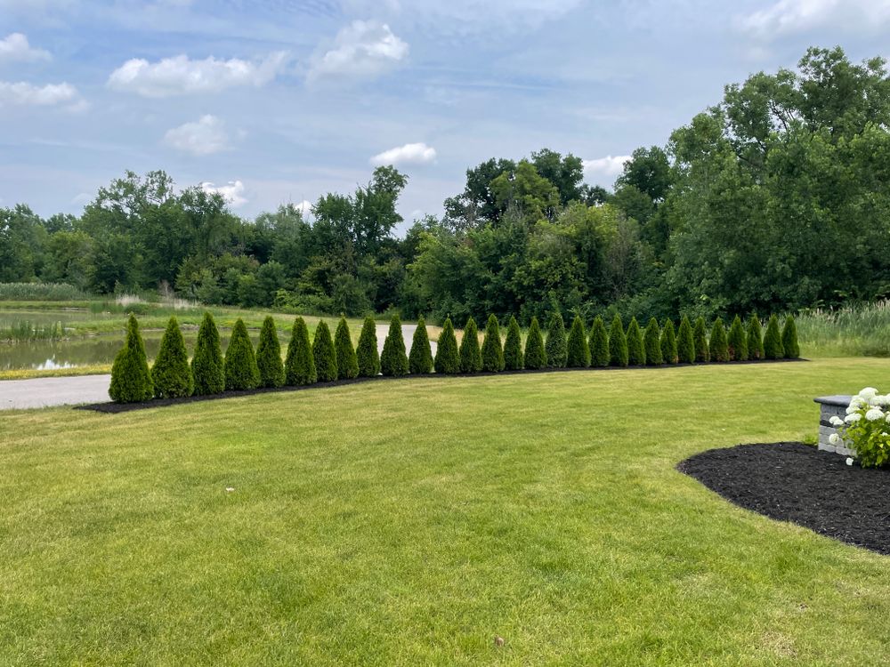 All Photos for Denali Outdoor Services in Washington, MI