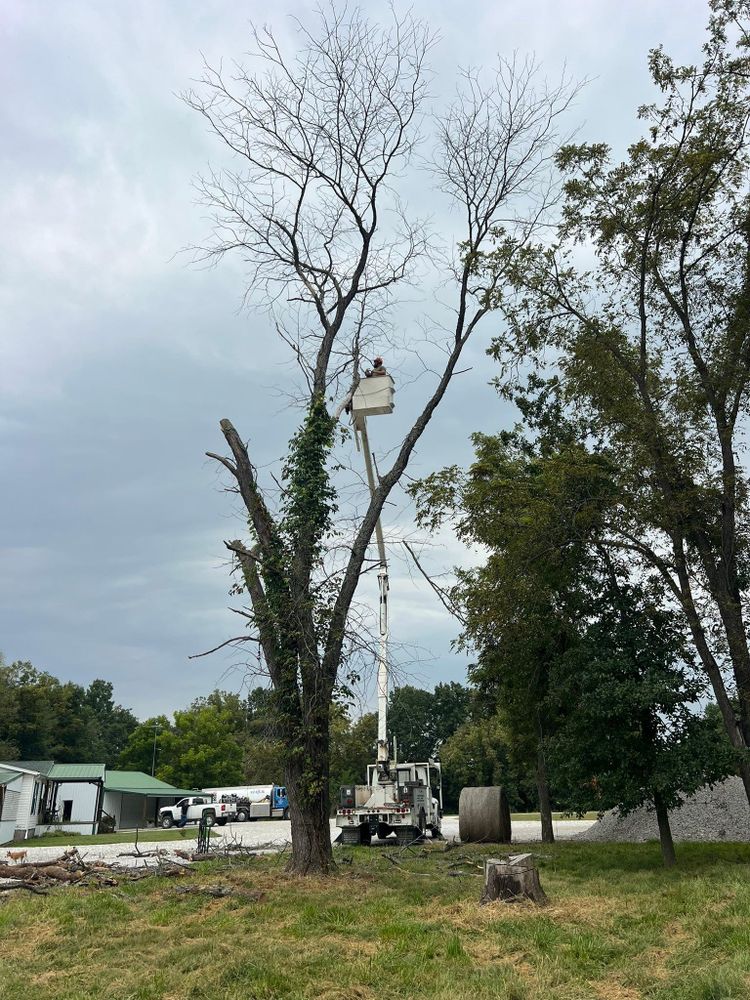 All Photos for Baker Professional Services LLC in Shelbina, MO