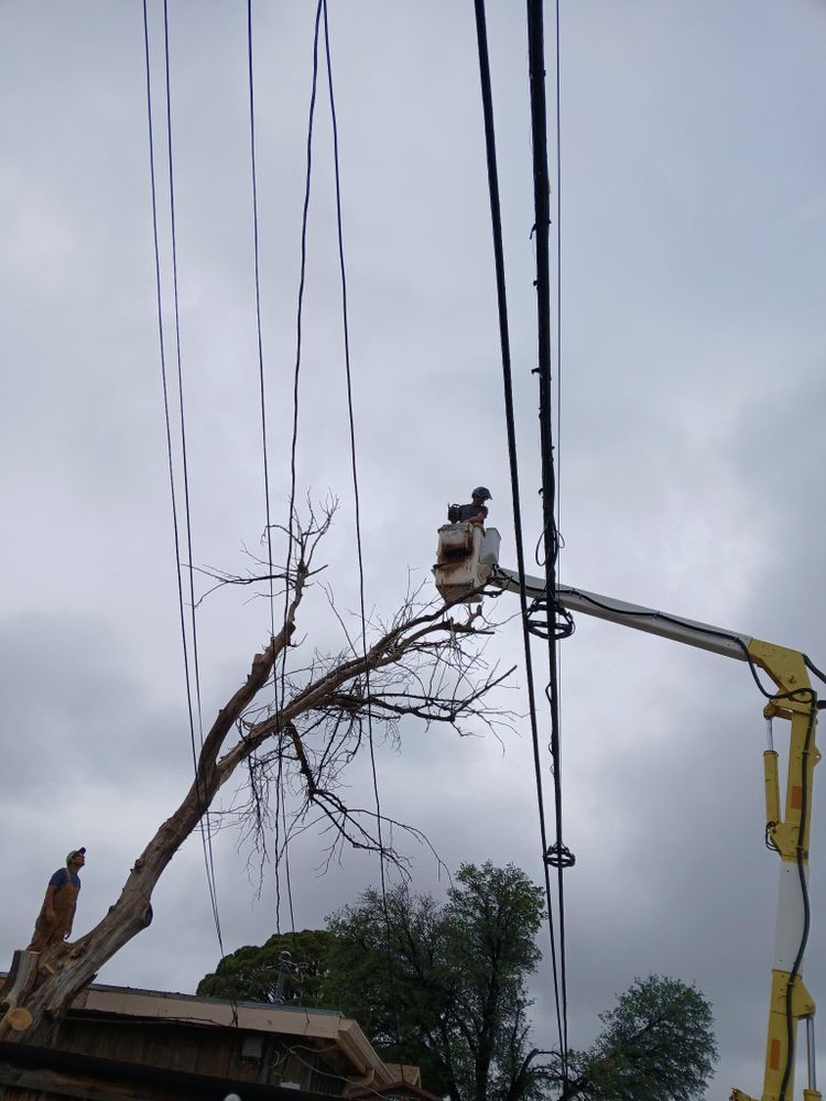 All Photos for Stone's Tree Services and Landscaping in Midland, TX