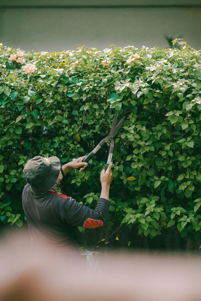 All Photos for Nice Image Landscaping Inc. in Fresno, CA