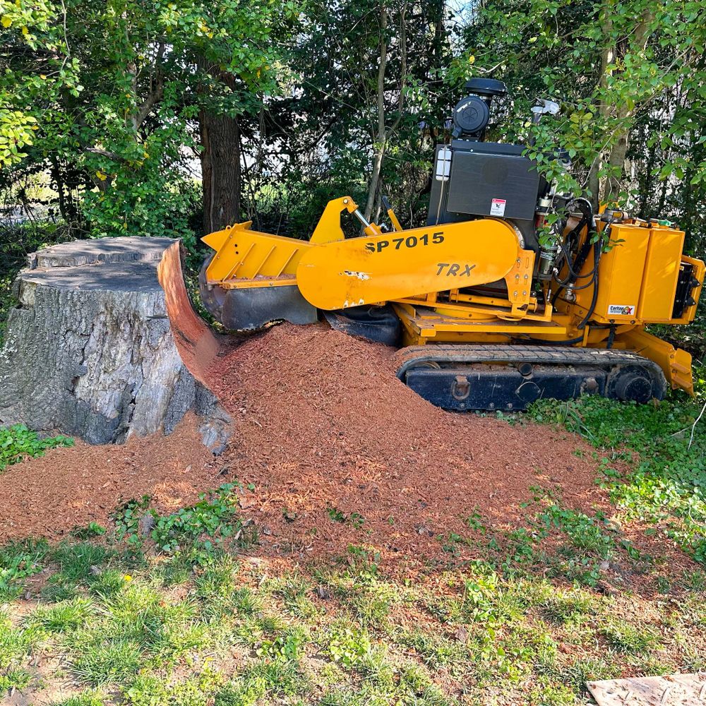 All Photos for J&K Stump Grinding in Detroit, MI