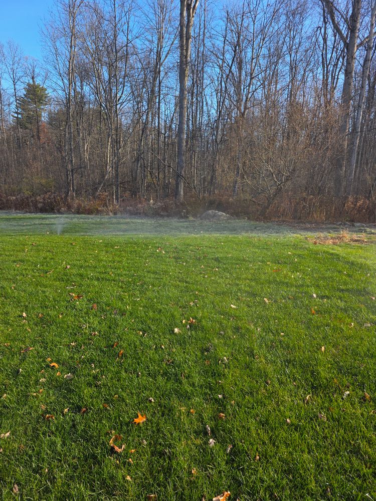 All Photos for Sweet Scapes in Ballston Spa, NY