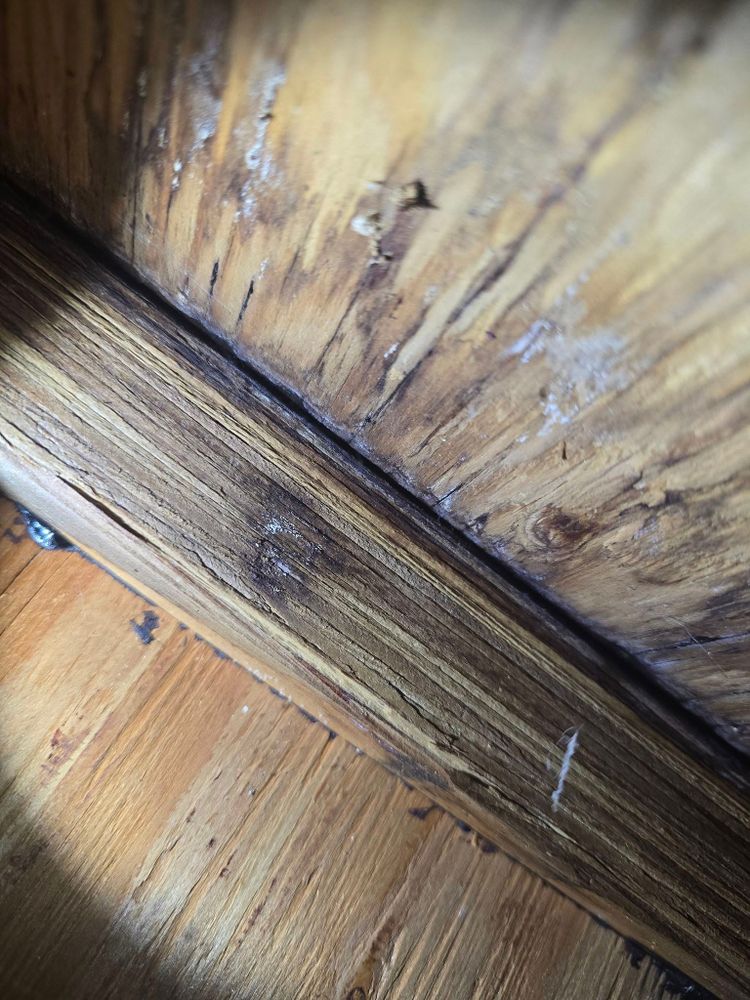 All Photos for Donovan & Sons in Fredericksburg, VA