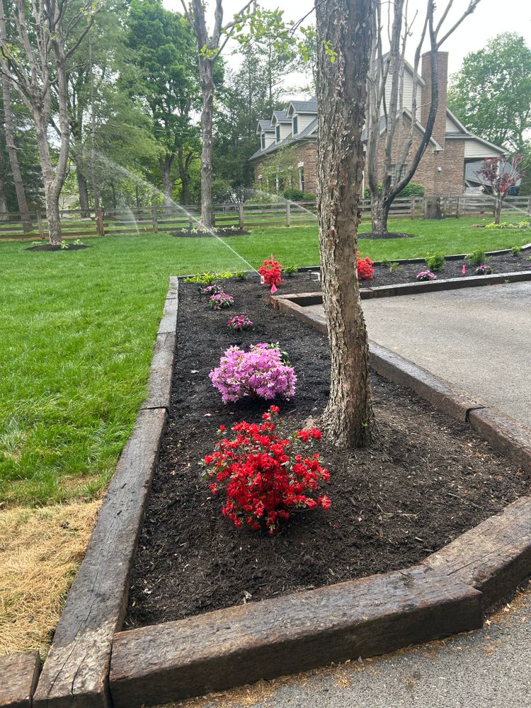 All Photos for Optimum Tree Service And Landscaping in Bowling Green, KY