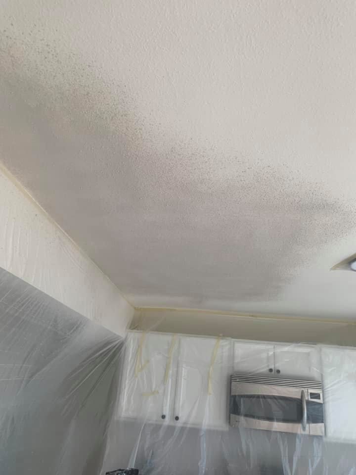 Interior Painting for Tabo Painting in Tulsa, OK