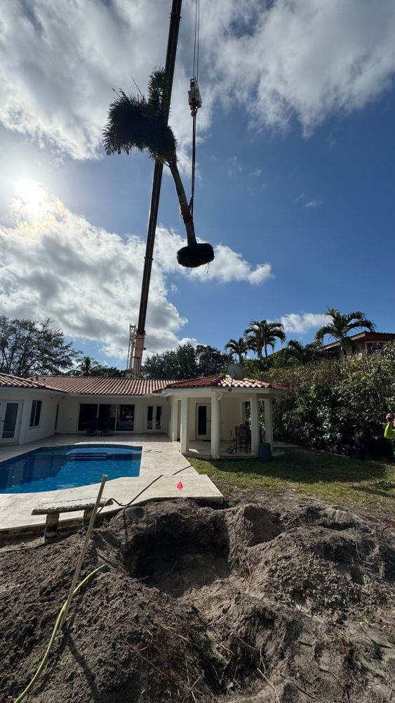 New Photo Uploads for South Florida Terra Systems in Boca Raton, FL