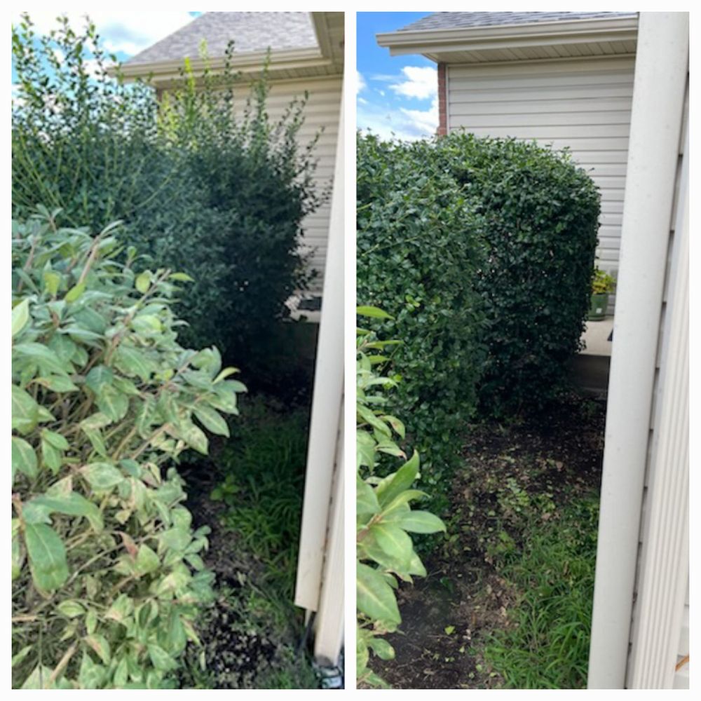 All Photos for Andrew's Lawn Service LLC in Lebanon, IL