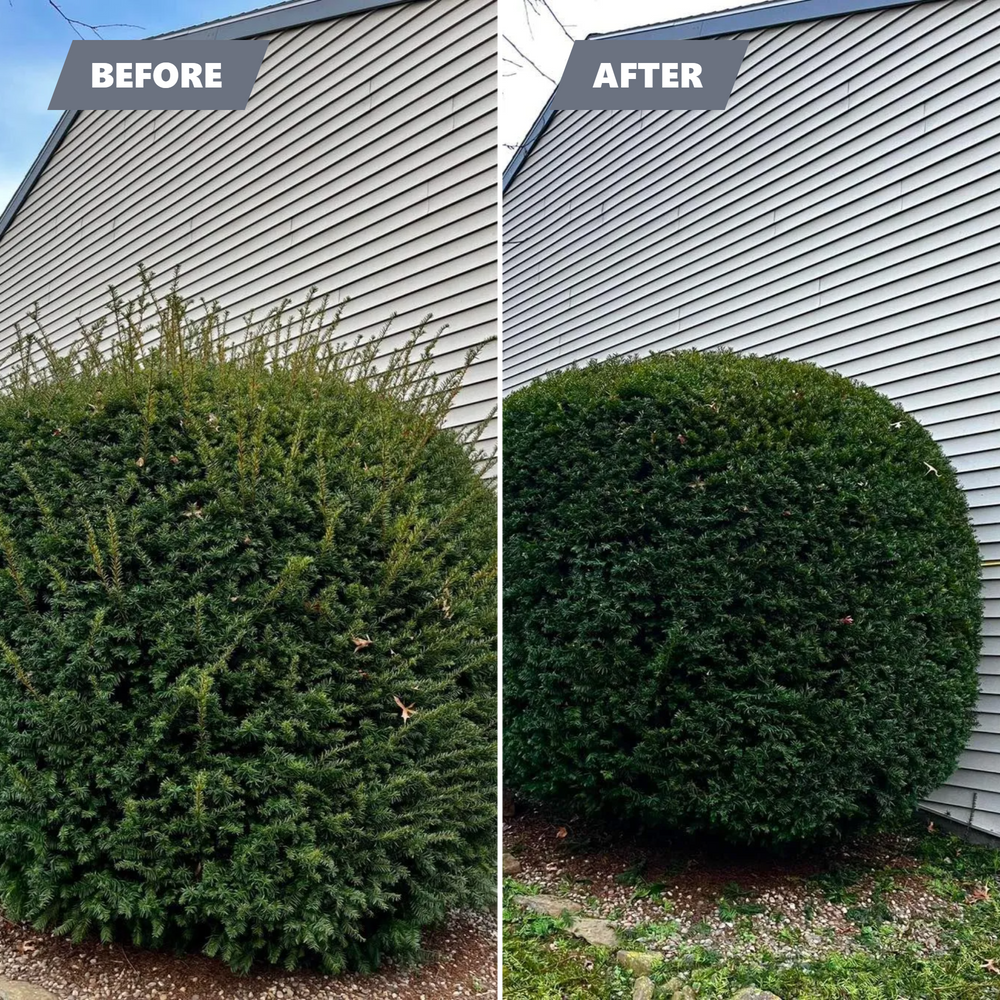 Landscaping for Conoy Acres Lawn Service in Elizabethtown, PA
