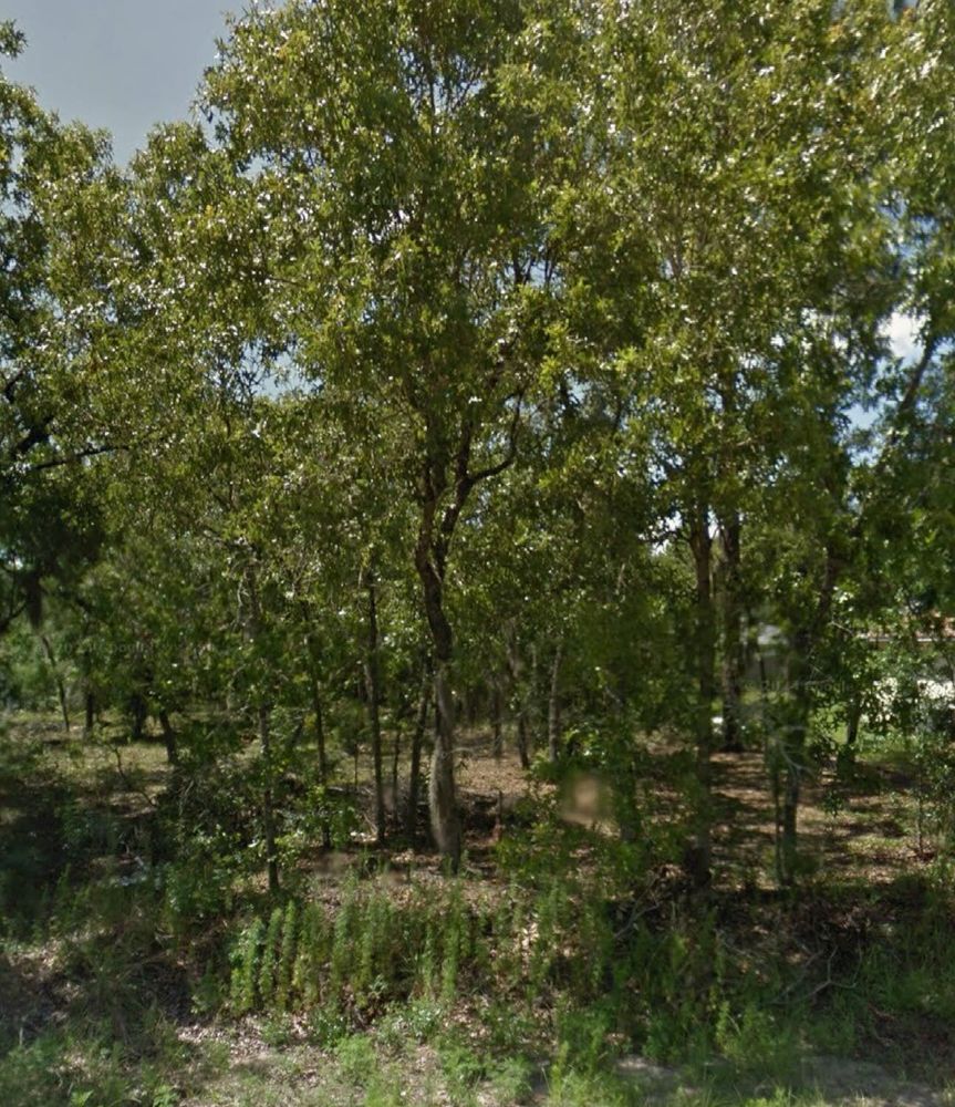 Land Clearing for J & E Land Clearing, LLC. in Dunnellon, FL
