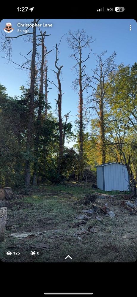 All Photos for Morace Tree Service in Natchez,,  MS
