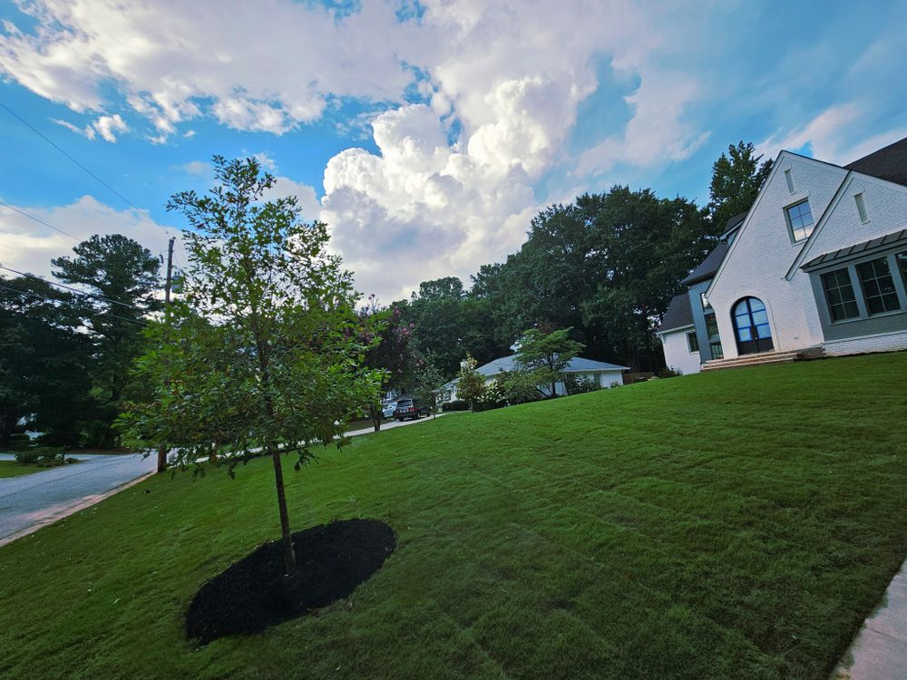  Sod Installs for D&D Unlimited Landscaping in Hartwell, GA