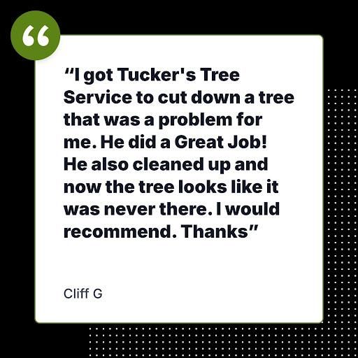 All Photos for Tucker's Tree Service and Stump Grinding in Lugoff, SC