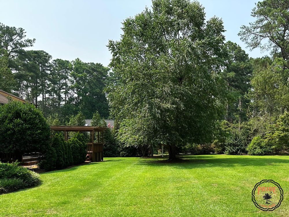 Lawn Care for Pride Lawn Care in Hope Mills, NC
