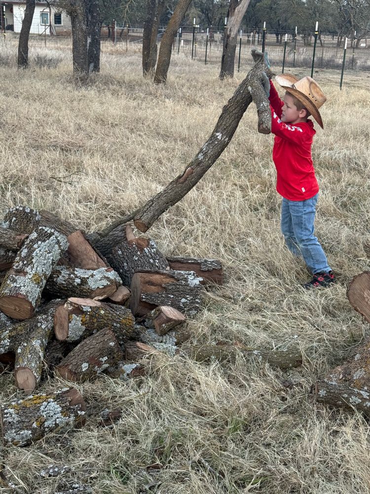 Our Emergency Services offer rapid response to safely handle downed or hazardous trees, minimizing damage to your property and ensuring peace of mind during unexpected events. Available 24/many for urgent situations. for Oakley’s Stump ‘N Grind in Leander, TX
