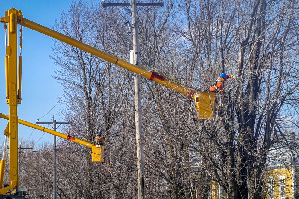 Tree Removal for Broadway & McMullen Construction in Purvis, MS