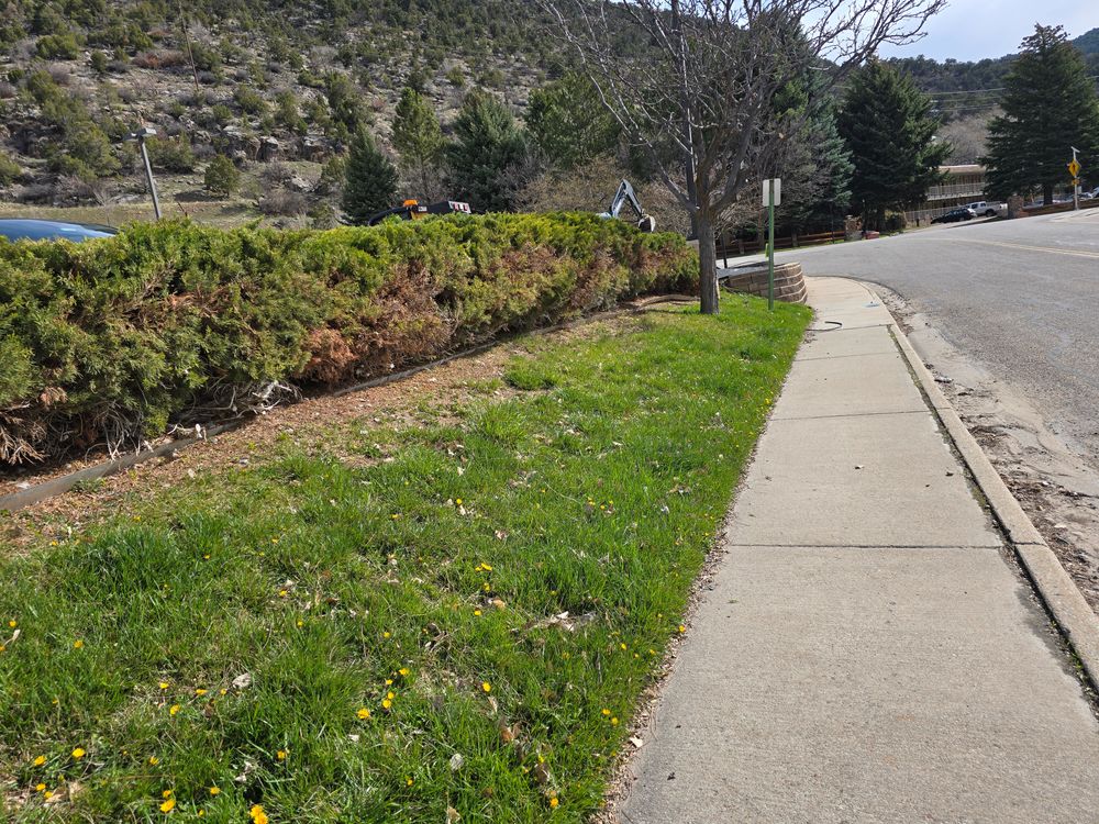 All Photos for LRS: Landscape, Rescue, Snow in Silt, CO