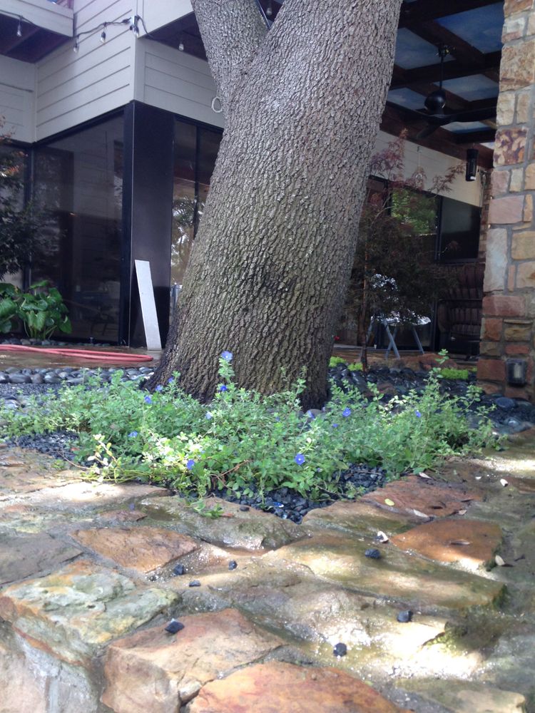 All Photos for Atlas Land Design in Creekside Park, TX
