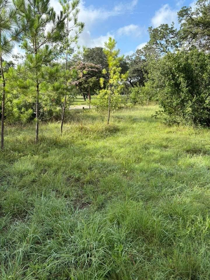 All Photos for Bad Axe Landscapes LLC in Schertz, TX