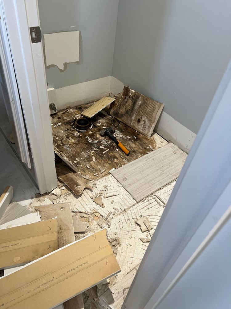 Mold Remediation for N&D Restoration Services When Disaster Attacks, We Come In in Cape Coral,  FL