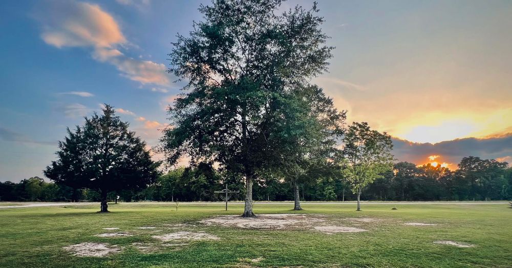 Landscaping for Joseys Lawn and Tree Care in Chipley, FL