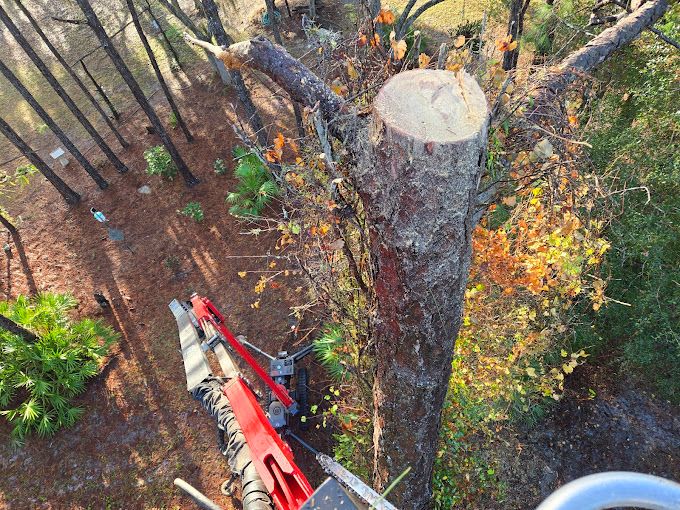 All Photos for Near Me Tree Service, Inc. in DeLand, FL