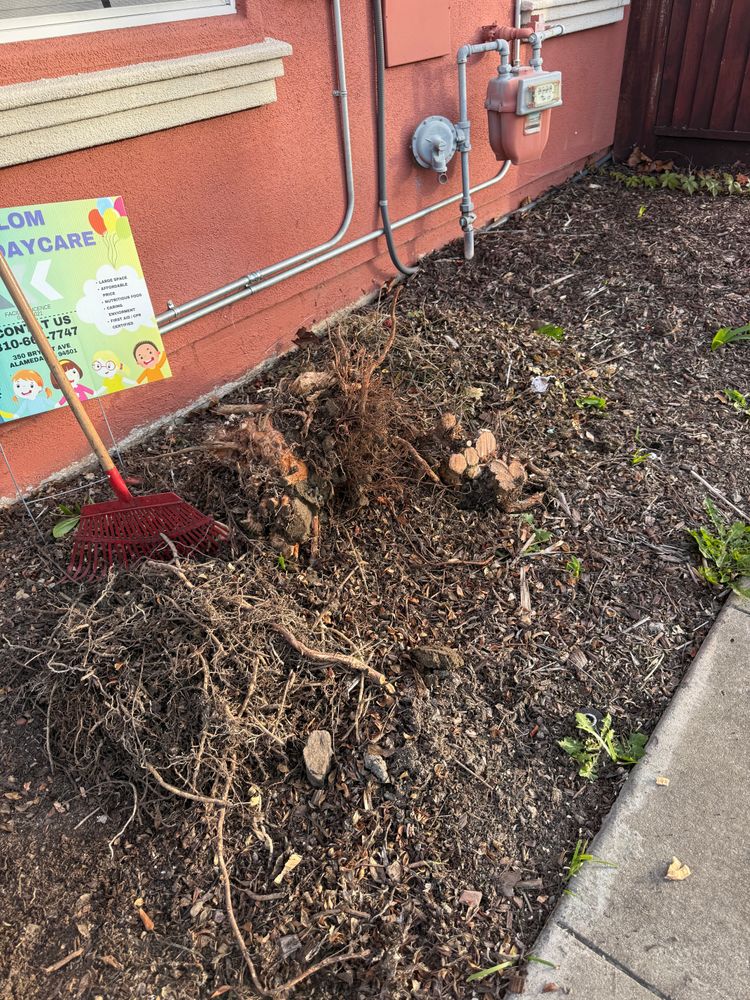 All Photos for CBA Landscaping in Hayward, CA