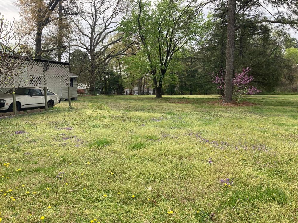 All Photos for Green Horizon Lawncare in North Chesterfield, VA