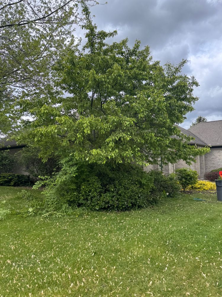 All Photos for H&L Lawn Care LLC in Twin Lakes, WI