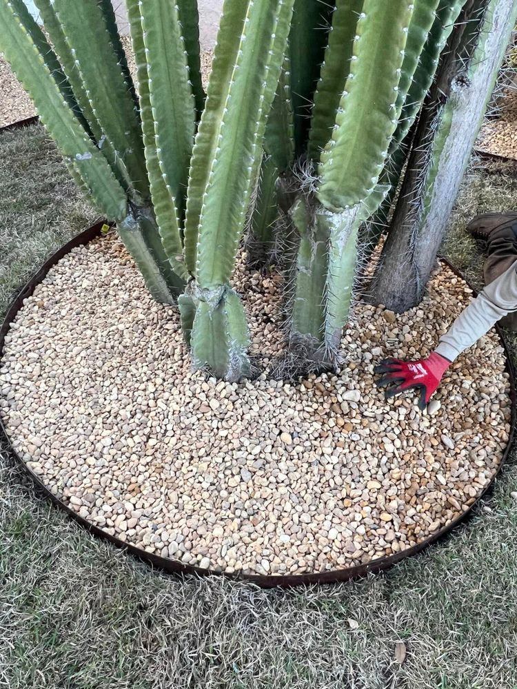 Landscaping for R.B. & Company in Bellview, FL