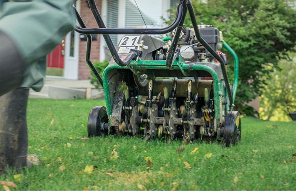 Lawn Installation for Turf Rehab in Sandusky, OH