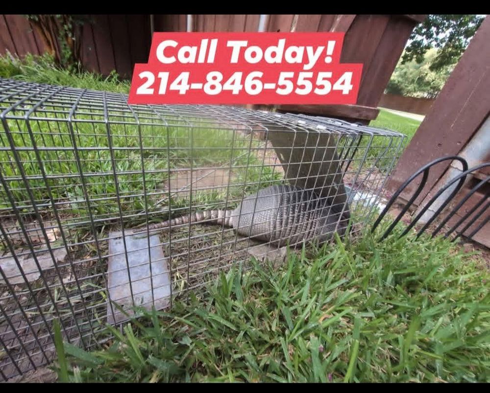 All Photos for Topper's Wildlife Removal in Garland, TX
