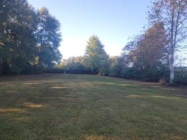 All Photos for D&D Services of Pensacola in Pensacola, FL