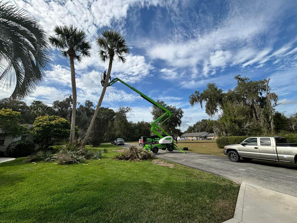 All Photos for McGraw’s Lawn and Tree Service in DeLand, FL