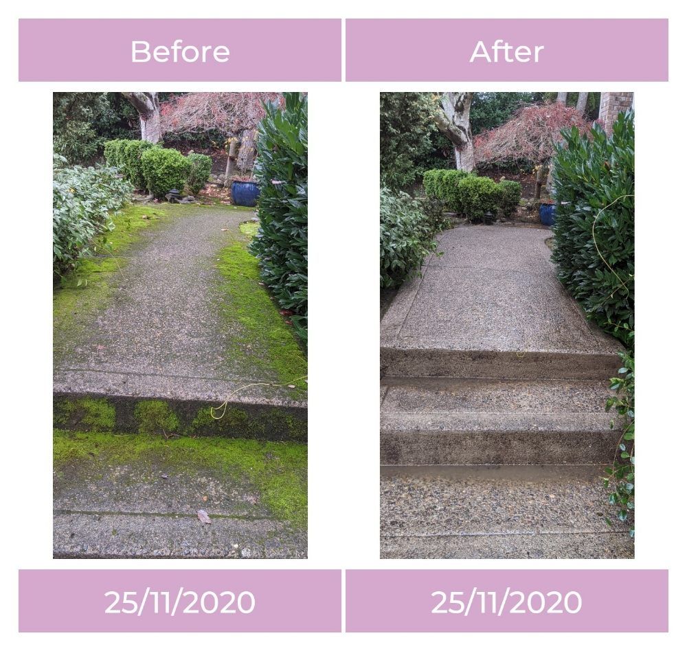 All Photos for Helpful Badger in Portland, OR