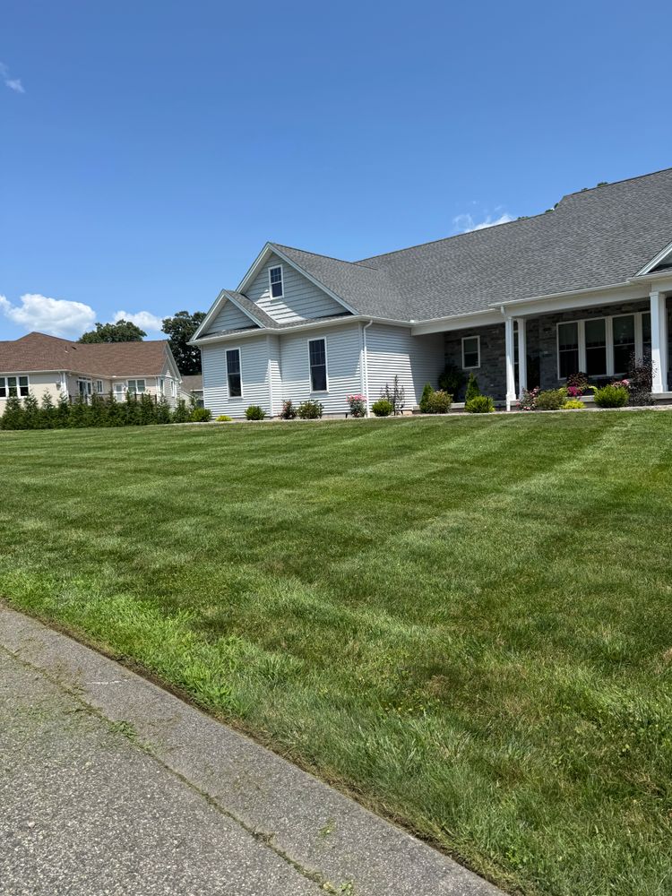 All Photos for Adams Landscaping in Springfield, MA