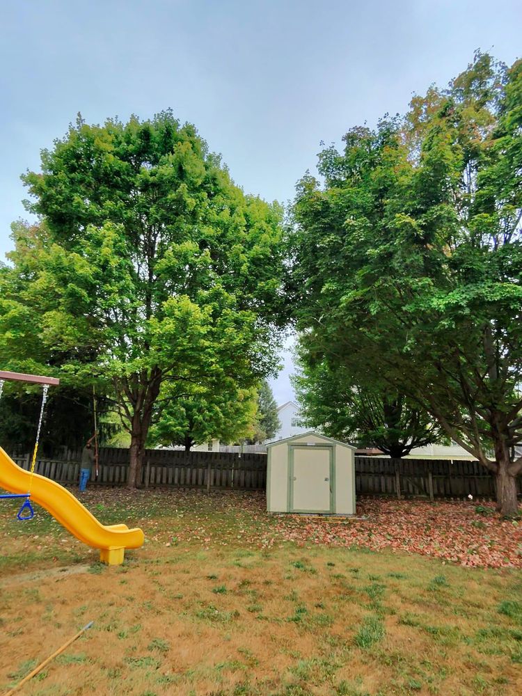 All Photos for F & F Tree Service in Beavercreek, OH