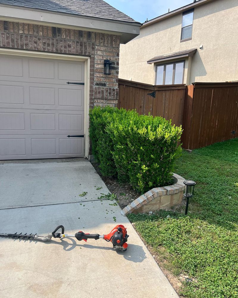 Landscaping for CS LawnCare  in San Antonio,  TX