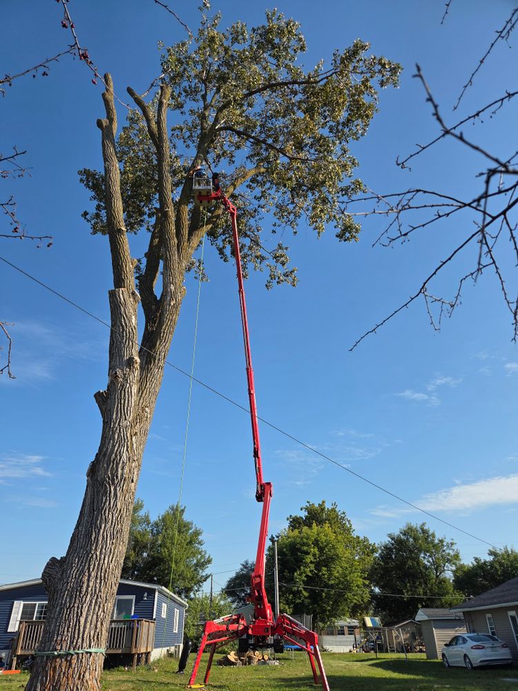 All Photos for Lawn Ranger Yard And Tree Service LLC in Ottumwa, IA